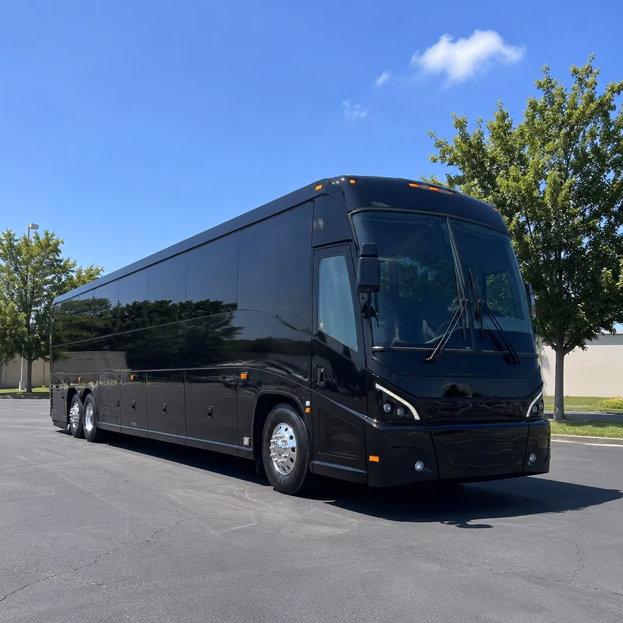 reno 56 passenger charter bus